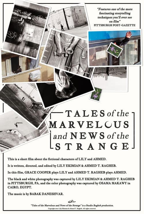 Poster for Tales of the Marvelous and News of the Strange