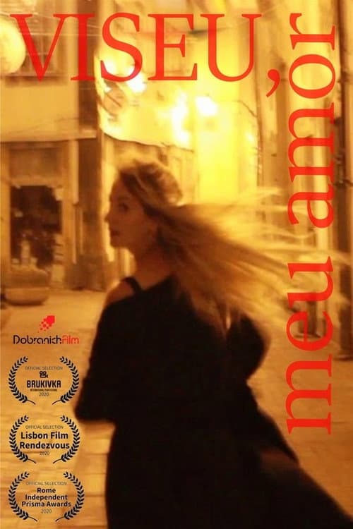 Poster for Viseu, my love
