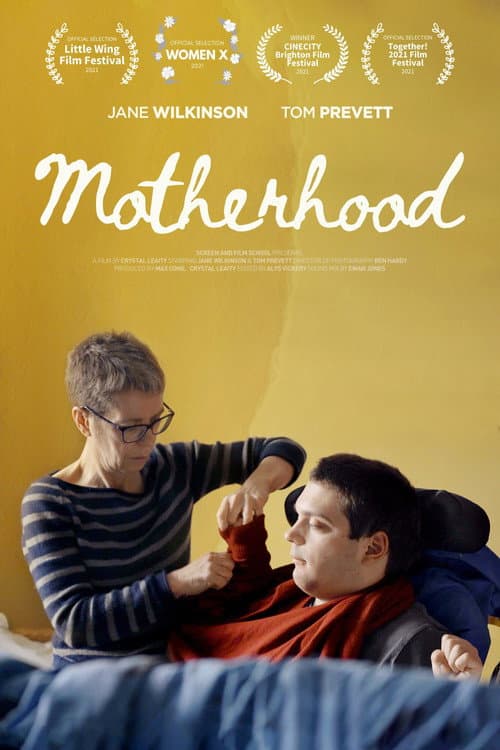Poster for Motherhood