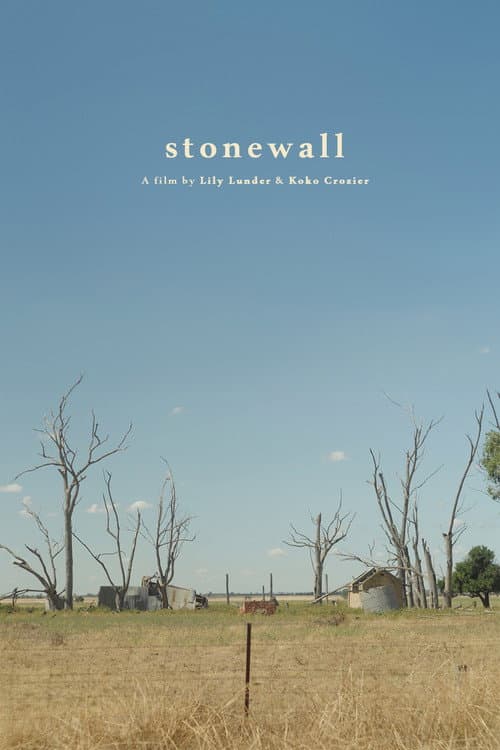 Poster for stonewall