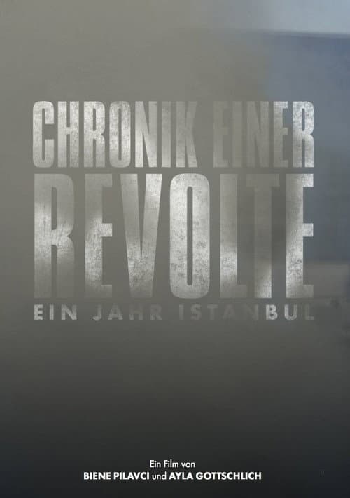 Poster for Chronicle of a Revolt: One Year Istanbul