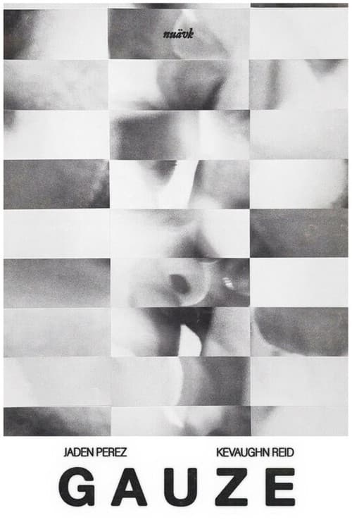 Poster for Gauze