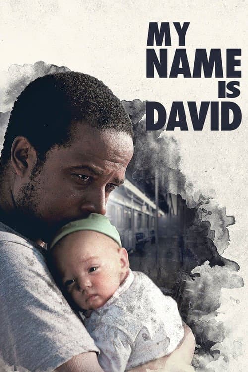 Poster for My Name Is David