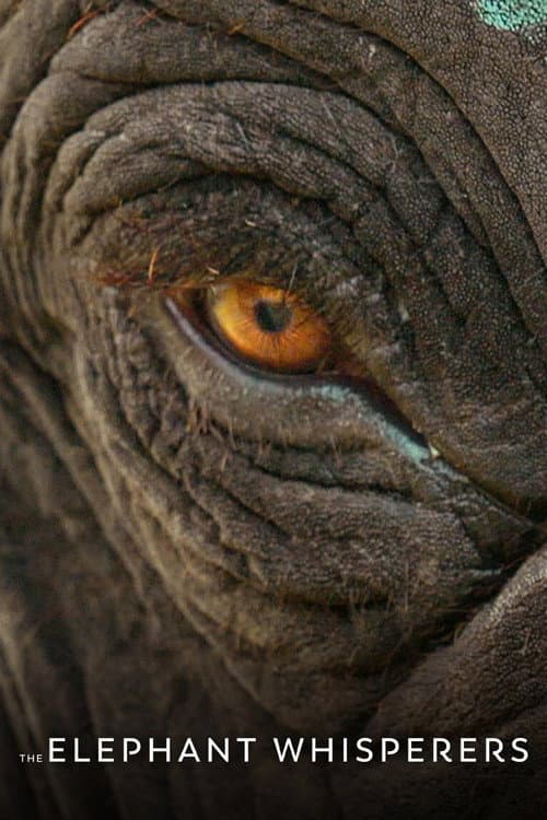 Poster for The Elephant Whisperers