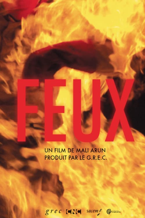 Poster for Feux