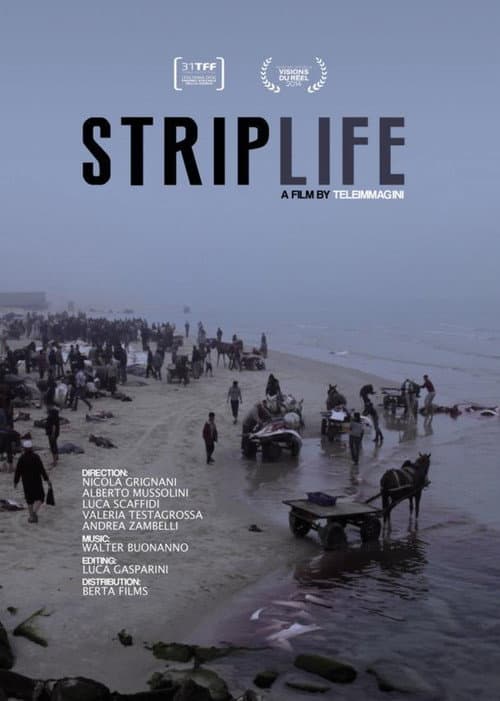 Poster for Striplife