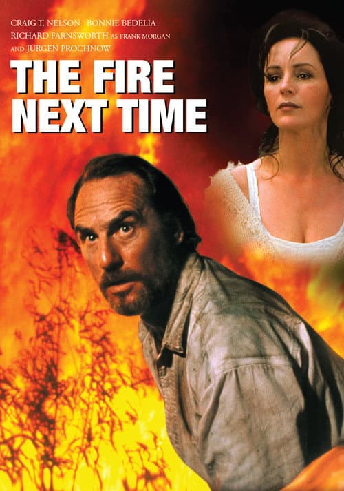 Poster for The Fire Next Time