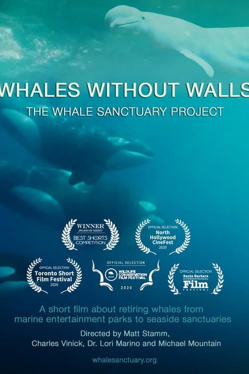 Poster for Whales Without Walls