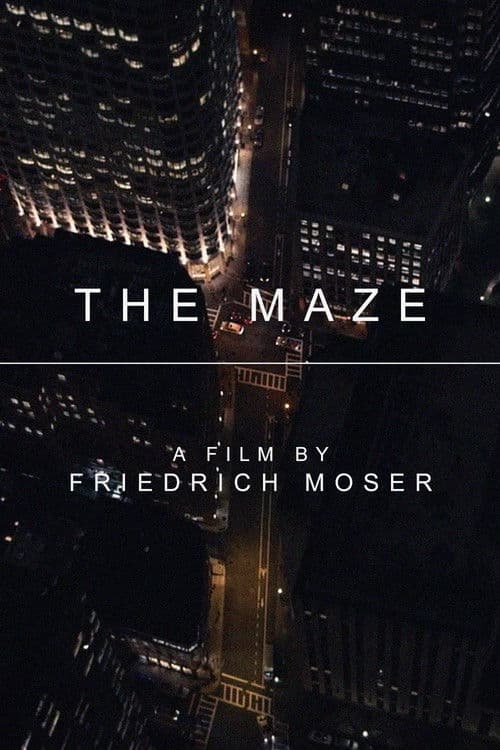 Poster for The Maze