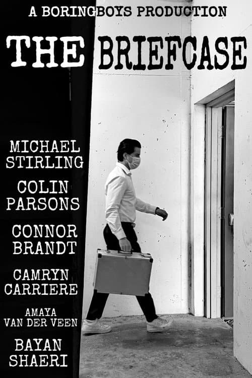 Poster for The Briefcase