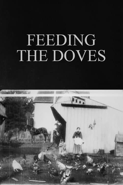 Poster for Feeding the Doves