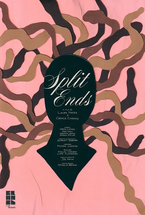 Poster for Split Ends