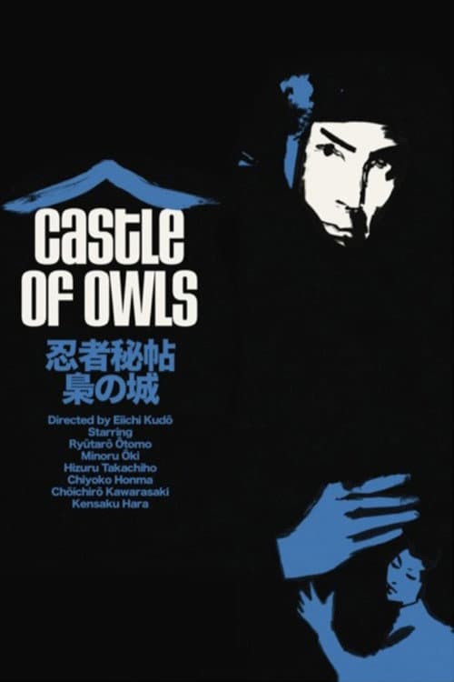 Poster for Castle of Owls