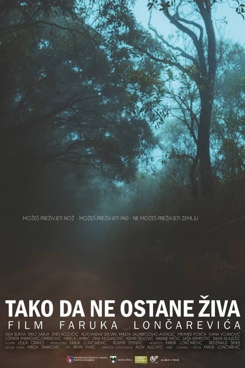 Poster for So She Doesn't Live