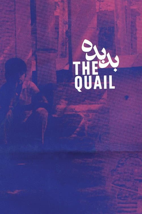 Poster for The Quail: The Tale of a Boy Who Asks
