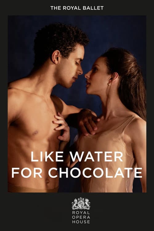 Poster for Like Water for Chocolate
