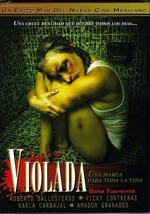 Poster for Doña Tormenta