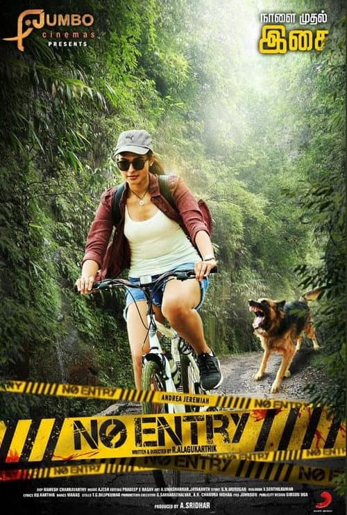Poster for No Entry