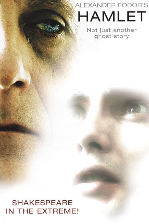 Poster for Fodor's Hamlet