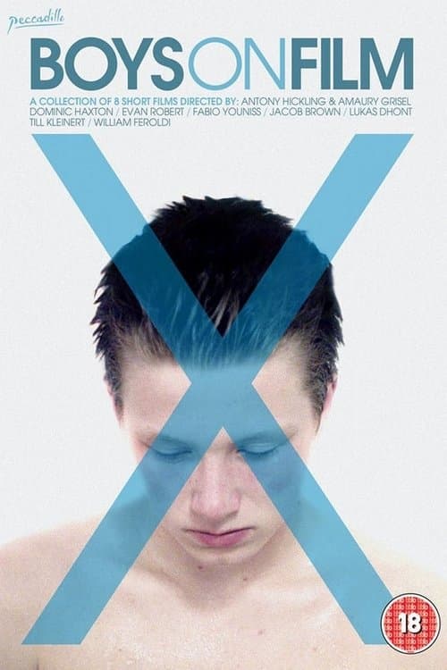Poster for Boys On Film X