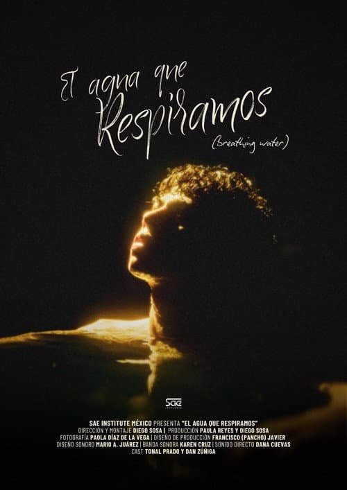 Poster for Breathing Water