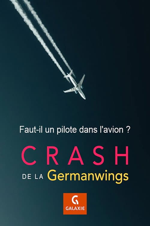Постер до фільму «Faut-il un pilote dans l'avion ?»