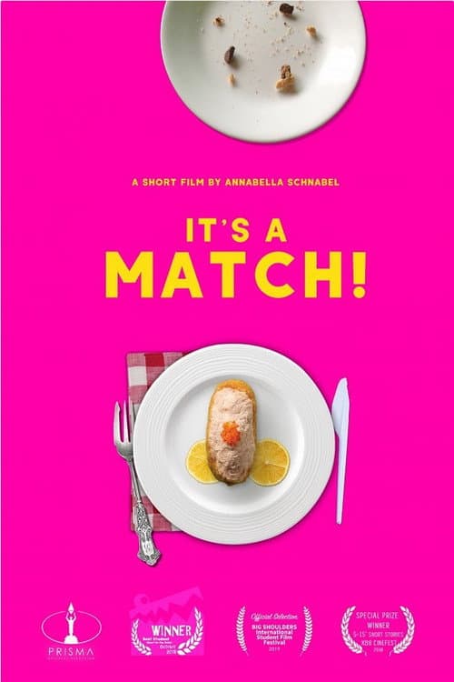 Poster for It's a Match!
