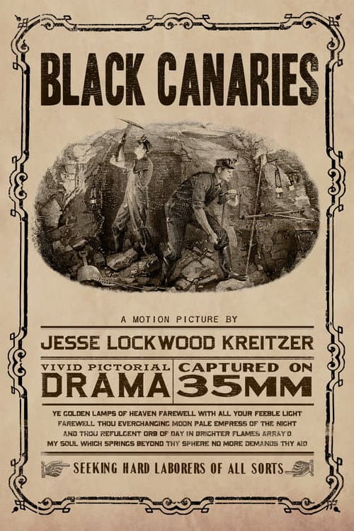 Poster for Black Canaries