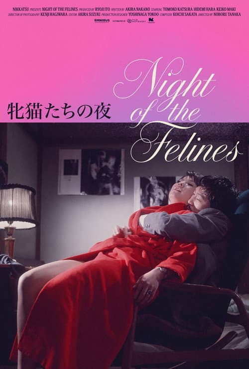 Poster for Night of the Felines
