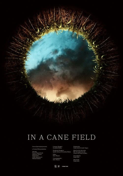 Poster for In a Cane Field