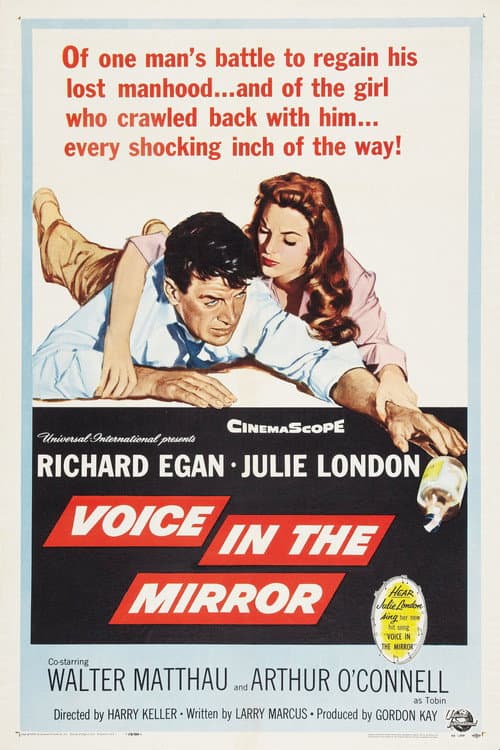 Poster for Voice in the Mirror