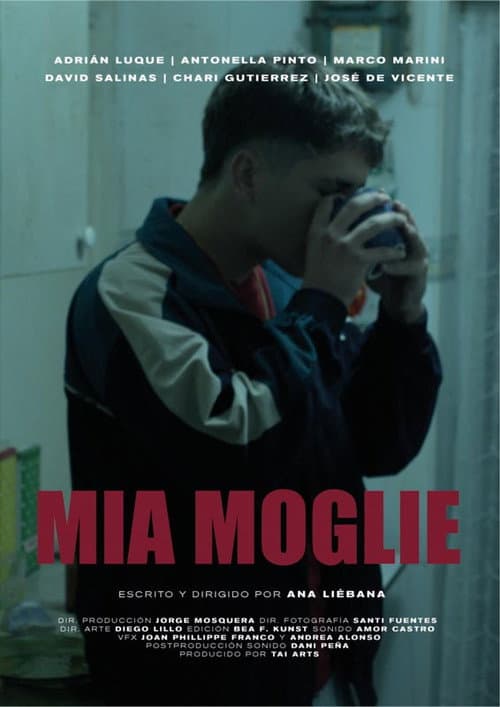 Poster for Mia Moglie