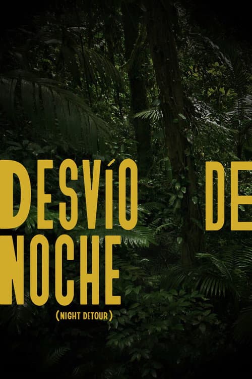 Poster for Night Detour