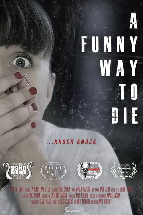 Poster for A Funny Way to Die