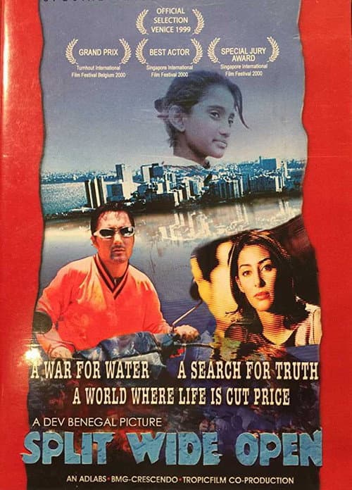 Poster for Split Wide Open