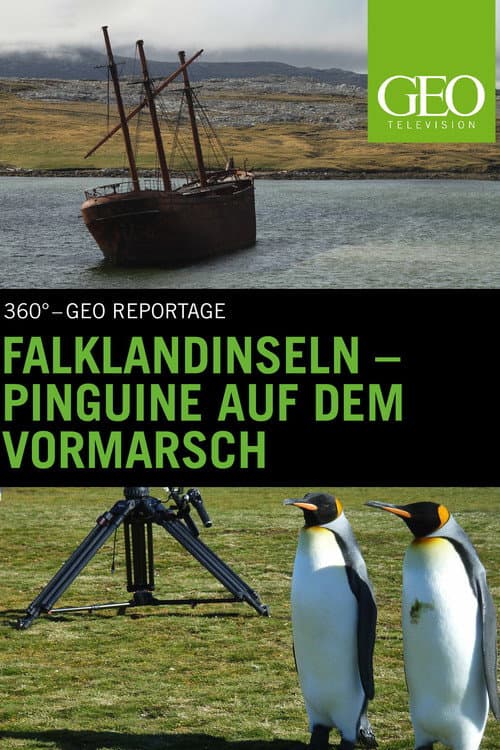 Poster for Falklandinseln : Pinguine auf dem Vormarsch