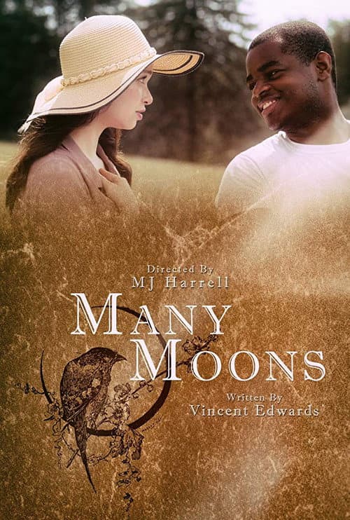 Poster for Many Moons
