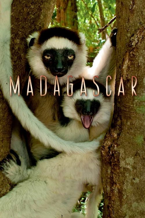 Poster for Madagascar