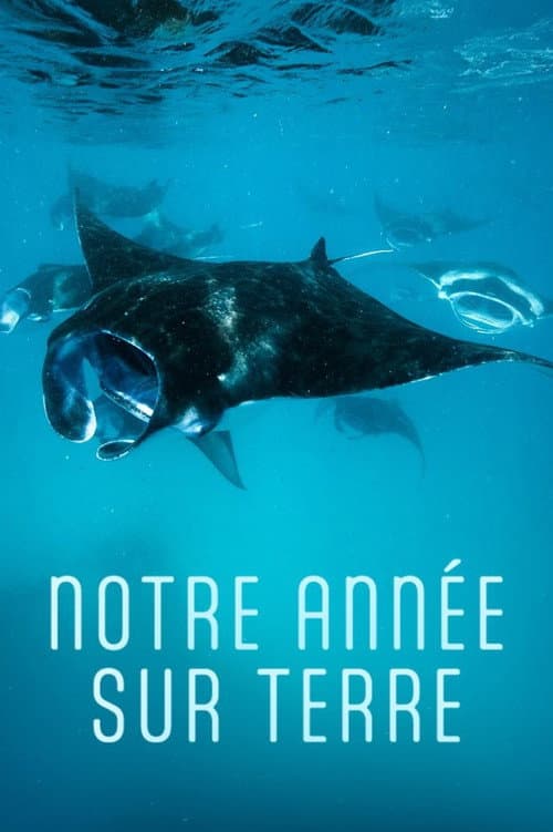 Poster for Notre année sur Terre