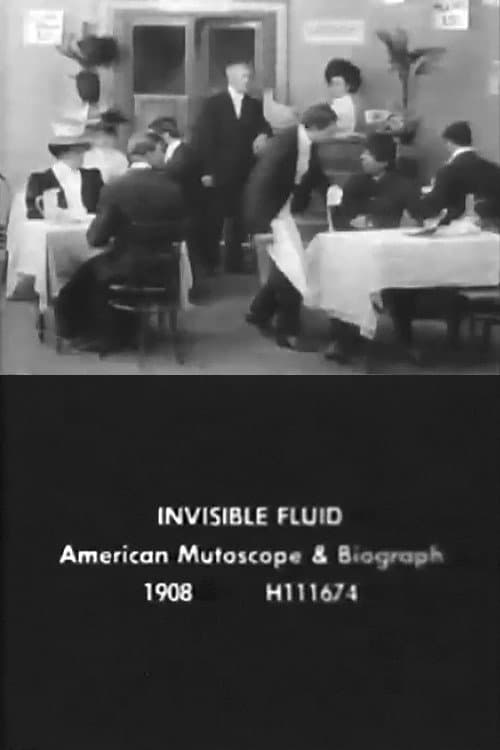 Poster for The Invisible Fluid