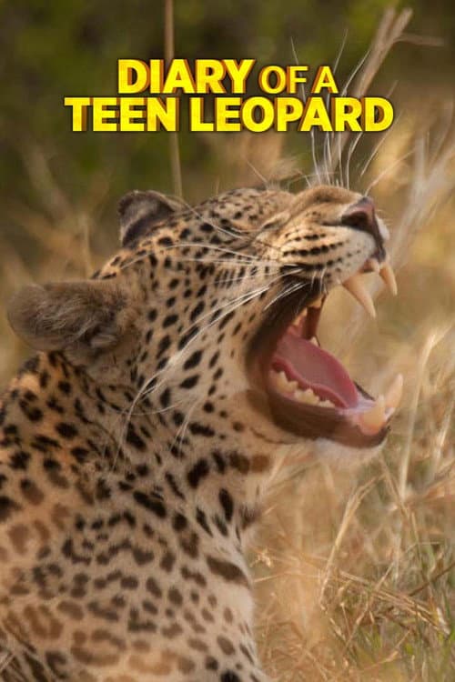 Poster for Diary of a Teen Leopard