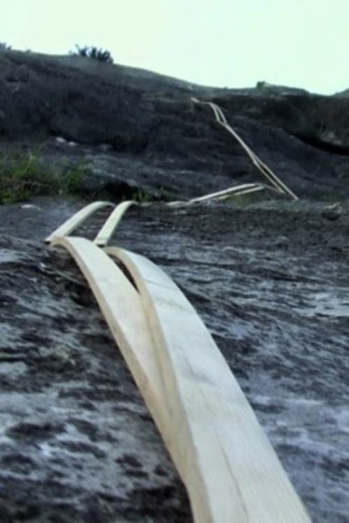 Poster for Stick Climbing