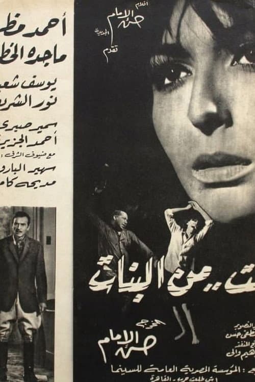 Poster for An Ordinary Girl