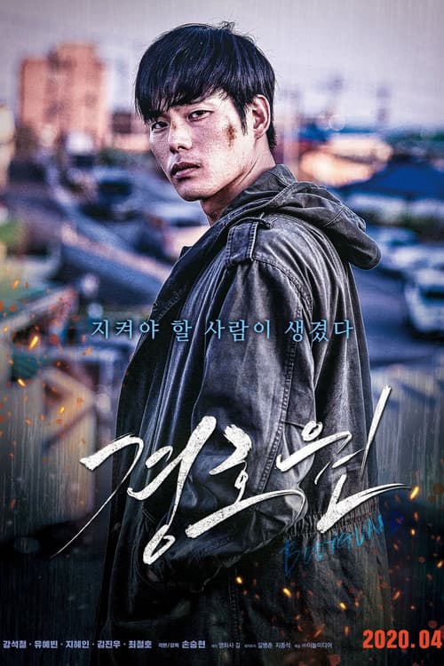 Poster for Bodyguard