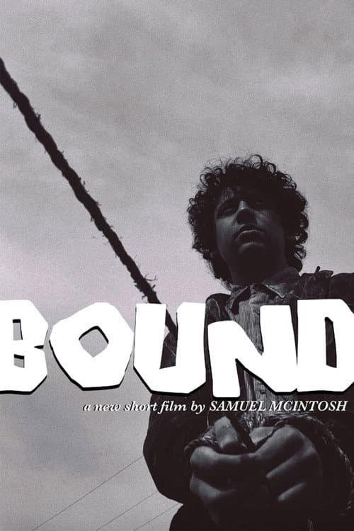 Poster for Bound