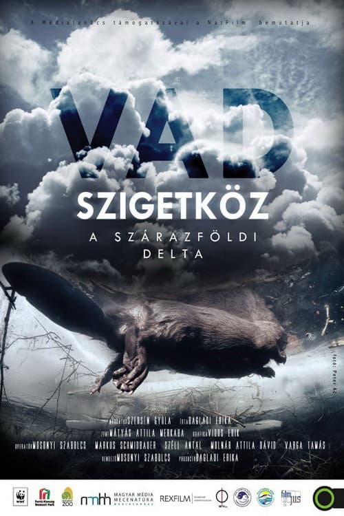 Poster for Szigetköz - The Inland Delta of the River Danube