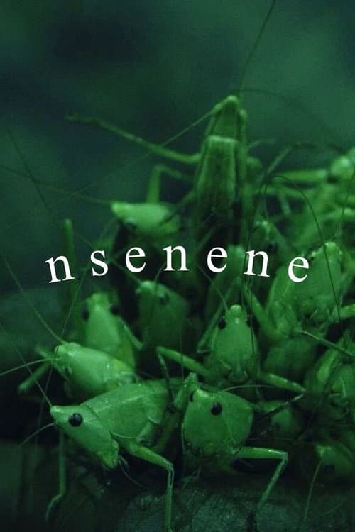 Poster for Nsenene