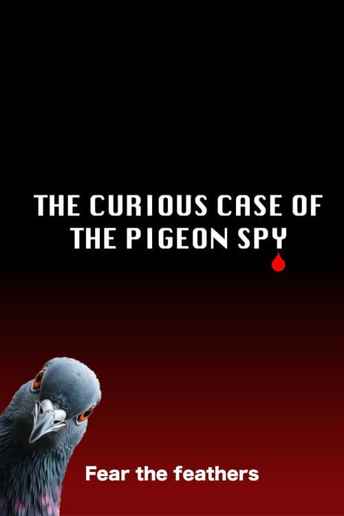 Постер до фільму «The Curious Case of the Pigeon Spy»