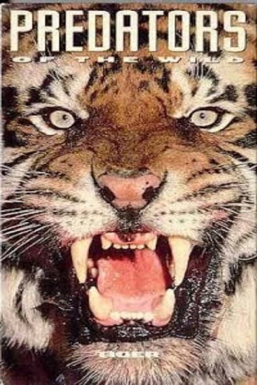 Poster for Predators of the Wild: Tiger