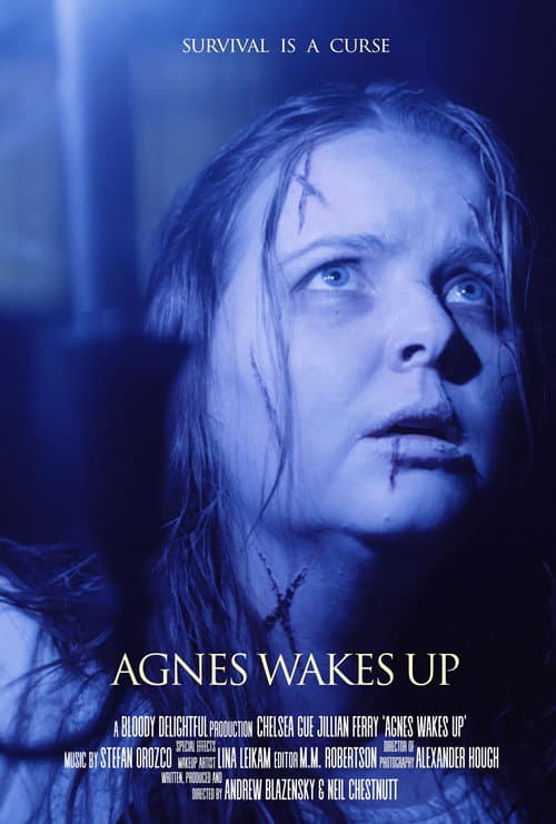 Poster for Agnes Wakes Up